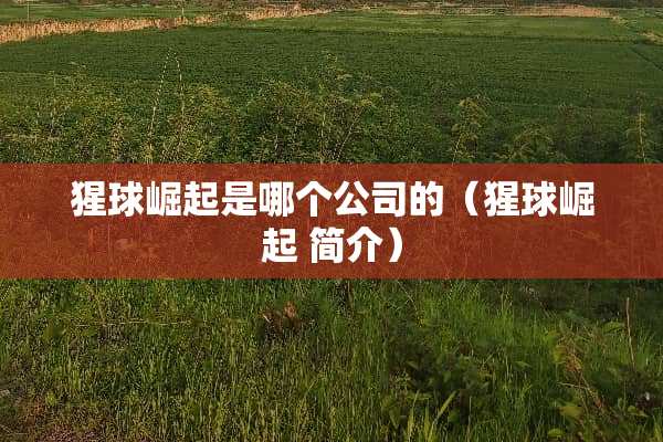 猩球崛起是哪个公司的（猩球崛起 简介）