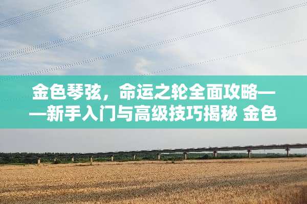 金色琴弦，命运之轮全面攻略——新手入门与高级技巧揭秘 金色的琴弦游戏攻略
