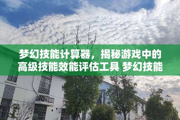 梦幻技能计算器，揭秘游戏中的高级技能效能评估工具 梦幻技能计算器