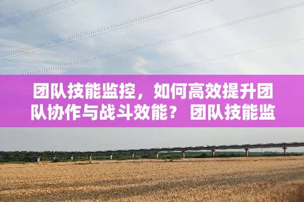 团队技能监控，如何高效提升团队协作与战斗效能？ 团队技能监控
