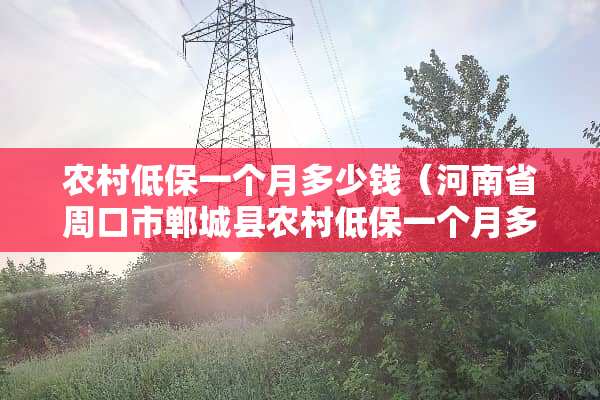 农村低保一个月多少钱（河南省周口市郸城县农村低保一个月多少钱）