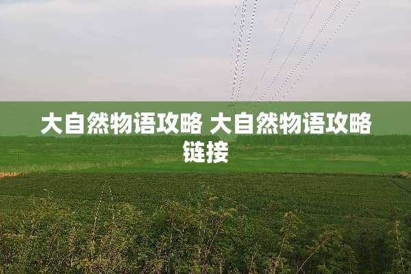 大自然物语攻略 大自然物语攻略链接