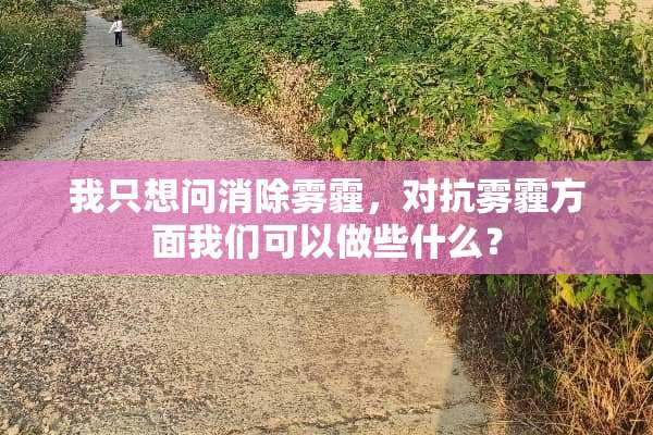 我只想问消除雾霾，对抗雾霾方面我们可以做些什么？