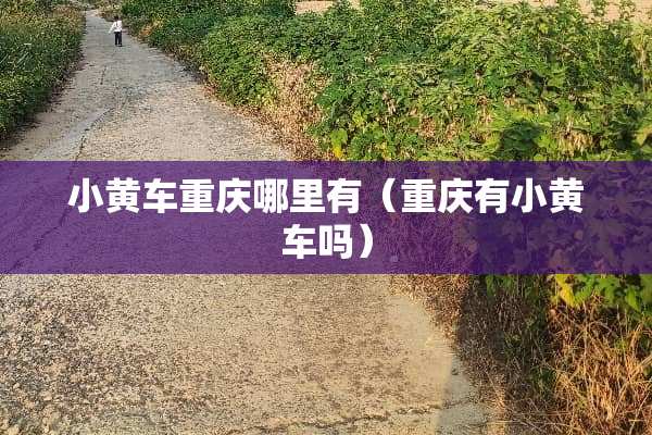 小黄车重庆哪里有（重庆有小黄车吗）