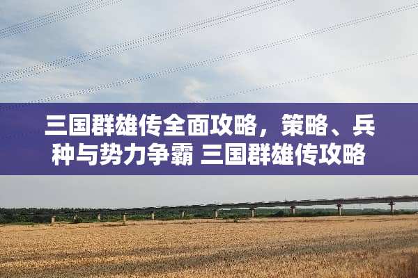 三国群雄传全面攻略，策略、兵种与势力争霸 三国群雄传攻略