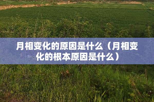 月相变化的原因是什么（月相变化的根本原因是什么）