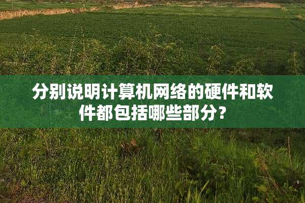 分别说明计算机网络的硬件和软件都包括哪些部分？