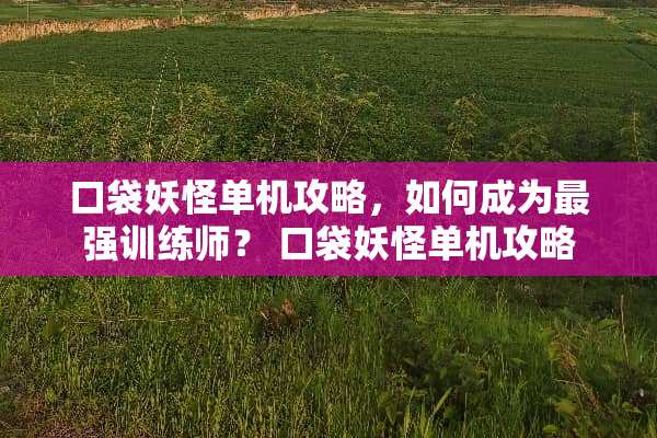 口袋妖怪单机攻略，如何成为最强训练师？ 口袋妖怪单机攻略