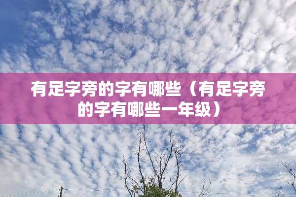 有足字旁的字有哪些（有足字旁的字有哪些一年级）