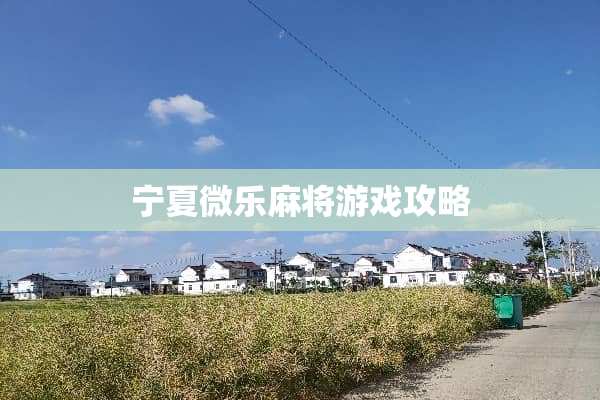 宁夏微乐**游戏攻略