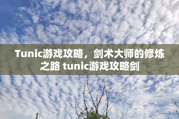 Tunic游戏攻略，剑术大师的**之路 tunic游戏攻略剑