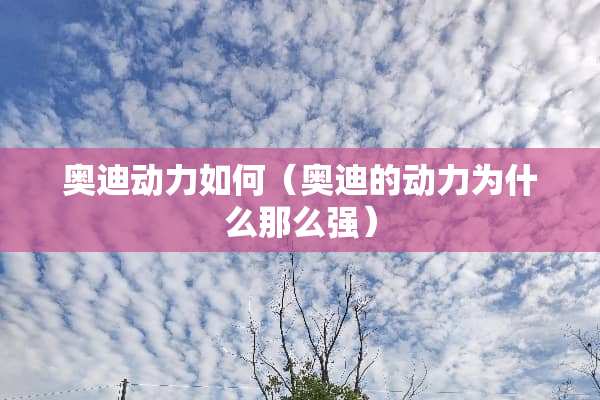 奥迪动力如何（奥迪的动力为什么那么强）