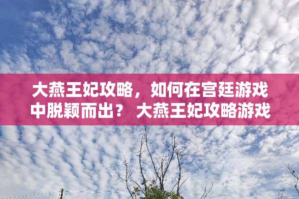 大燕王妃攻略，如何在宫廷游戏中脱颖而出？ 大燕王妃攻略游戏