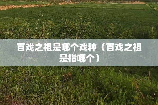 百戏之祖是哪个戏种（百戏之祖是指哪个）