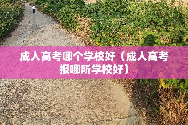 **高考哪个学校好（**高考报哪所学校好）