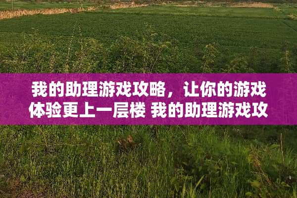 我的助理游戏攻略，让你的游戏体验更上一层楼 我的助理游戏攻略