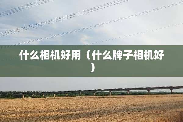 什么相机好用（什么牌子相机好）