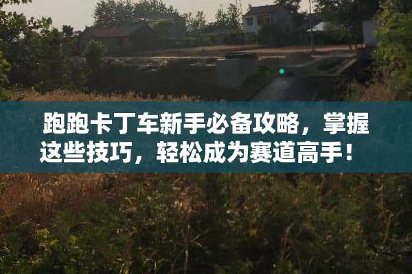 跑跑卡丁车新手必备攻略，掌握这些技巧，轻松成为赛道高手！ 跑跑卡丁车攻略游戏