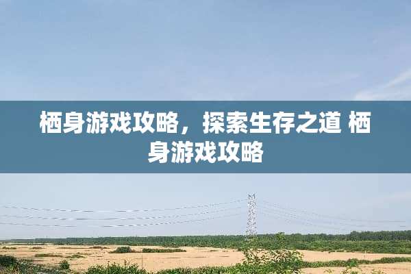 栖身游戏攻略，探索生存之道 栖身游戏攻略