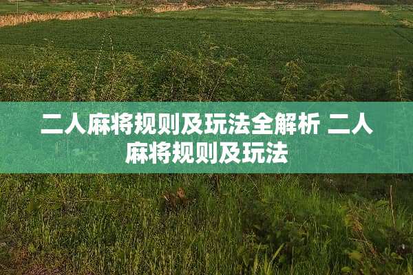 二人麻将规则及玩法全解析 二人麻将规则及玩法