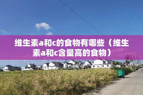 维生素a和c的食物有哪些（维生素a和c含量高的食物）