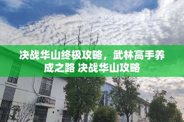 决战华山终极攻略，武林高手养成之路 决战华山攻略