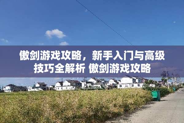 傲剑游戏攻略，新手入门与高级技巧全解析 傲剑游戏攻略