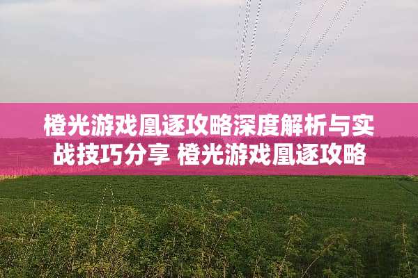 橙光游戏凰逐攻略深度解析与实战技巧分享 橙光游戏凰逐攻略