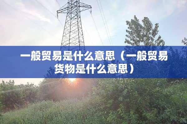 一般贸易是什么意思（一般贸易货物是什么意思）