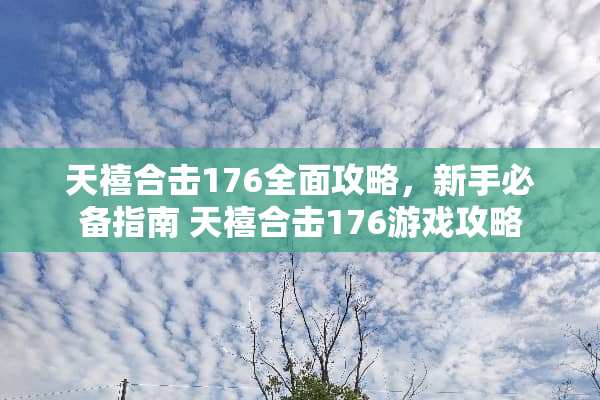 天禧合击176全面攻略，新手必备指南 天禧合击176游戏攻略