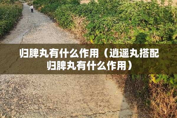 归脾丸有什么作用（逍遥丸搭配归脾丸有什么作用）