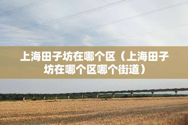 上海田子坊在哪个区（上海田子坊在哪个区哪个街道）