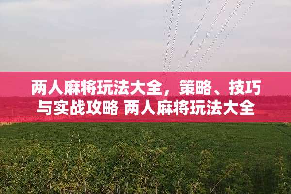 两人**玩法大全，策略、技巧与实战攻略 两人**玩法大全