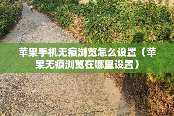 苹果手机无痕浏览怎么设置（苹果无痕浏览在哪里设置）