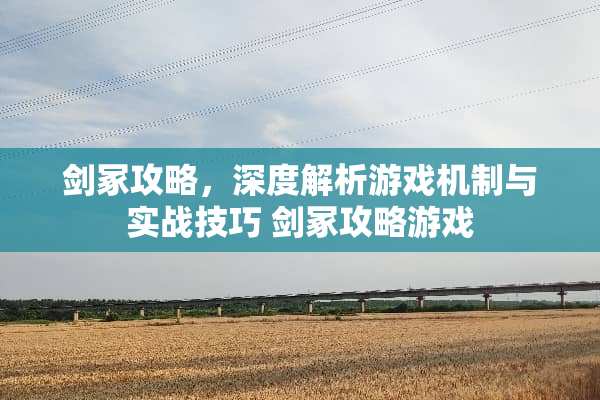 剑冢攻略，深度解析游戏机制与实战技巧 剑冢攻略游戏