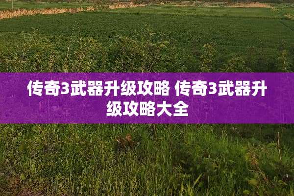 传奇3**升级攻略 传奇3**升级攻略大全