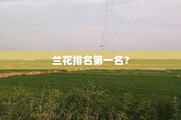 兰花排名第一名？