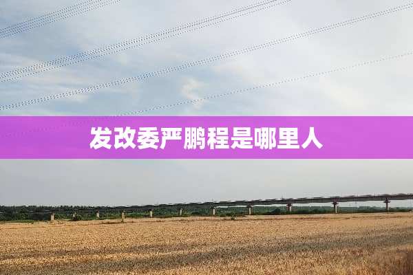 发改委严鹏程是哪里人