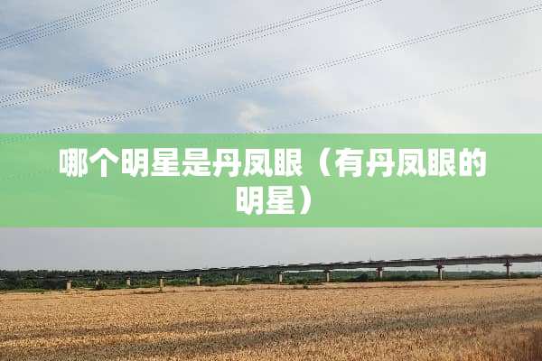 哪个明星是丹凤眼（有丹凤眼的明星）