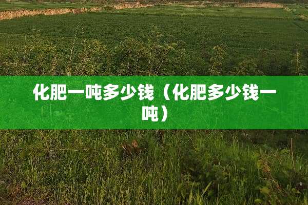 化肥一吨多少钱（化肥多少钱一吨）