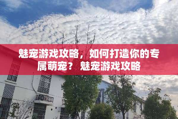 魅宠游戏攻略，如何打造你的专属萌宠？ 魅宠游戏攻略