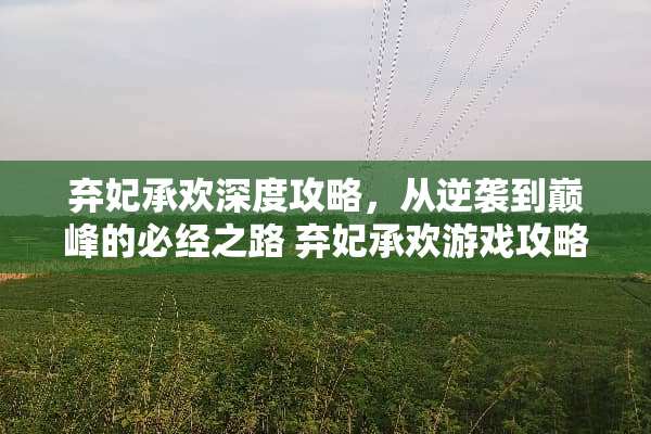 弃妃承欢深度攻略，从逆袭到巅峰的必经之路 弃妃承欢游戏攻略