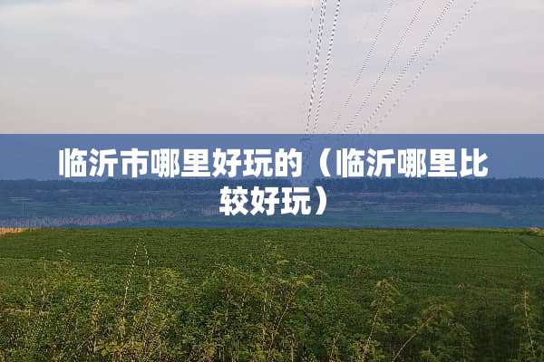 临沂市哪里好玩的（临沂哪里比较好玩）