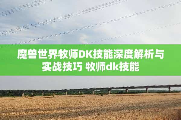 魔兽世界牧师DK技能深度解析与实战技巧 牧师dk技能