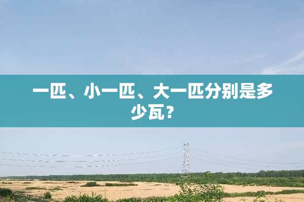 一匹、小一匹、大一匹分别是多少瓦？