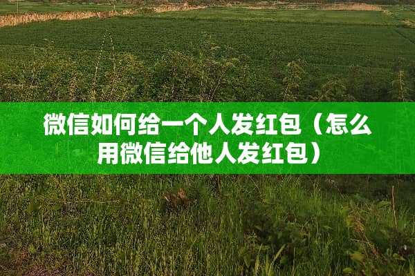 微信如何给一个人发红包（怎么用微信给他人发红包）