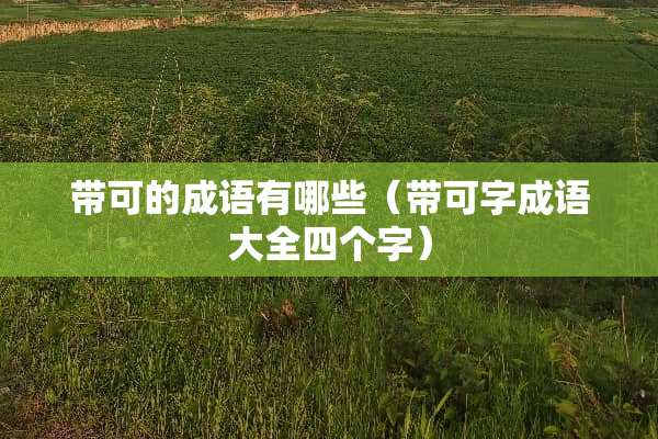 带可的成语有哪些（带可字成语大全四个字）