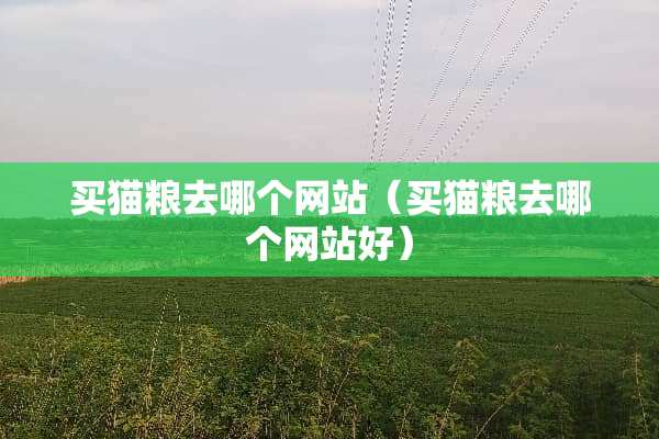买猫粮去哪个网站（买猫粮去哪个网站好）