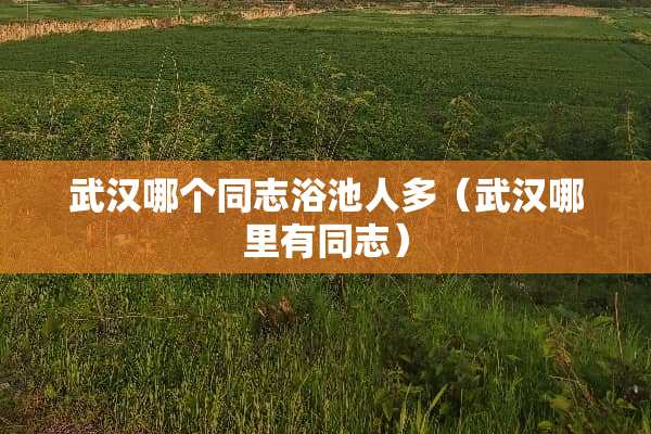 武汉哪个同志浴池人多（武汉哪里有同志）