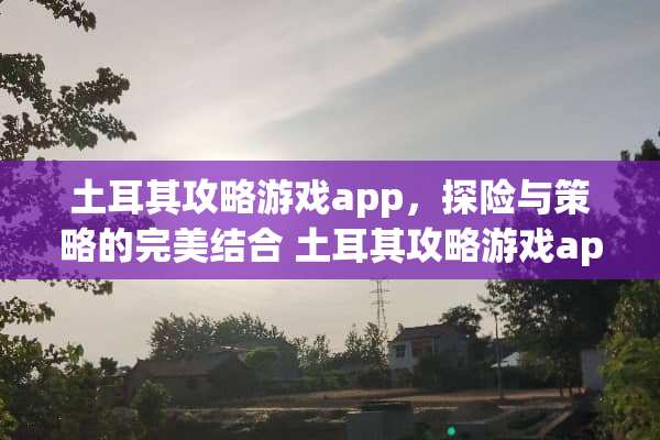 土耳其攻略游戏app，探险与策略的完美结合 土耳其攻略游戏app
